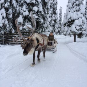 Snowmobile safari to reindeer farm 3h